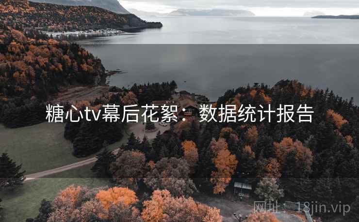 糖心tv幕后花絮:数据统计报告