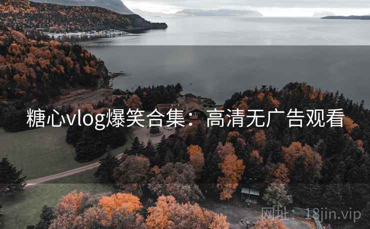 糖心vlog爆笑合集：高清无广告观看  第2张